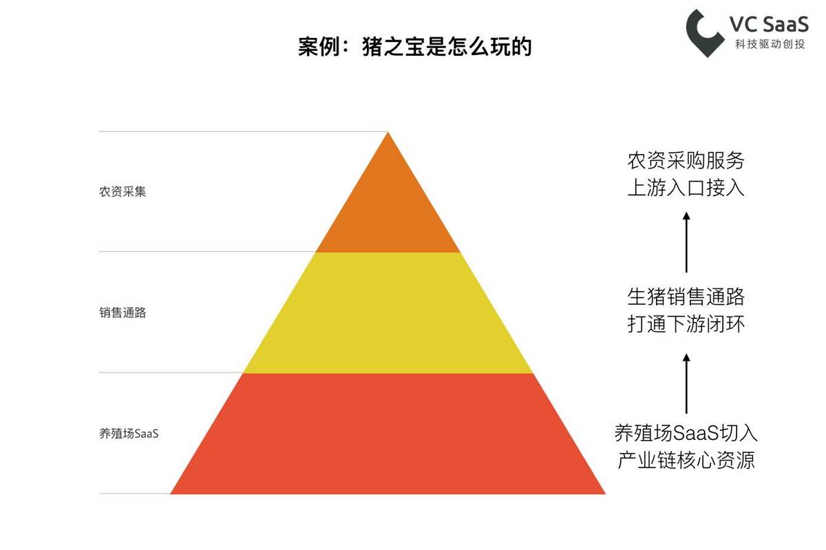 数据_猪_养殖-17